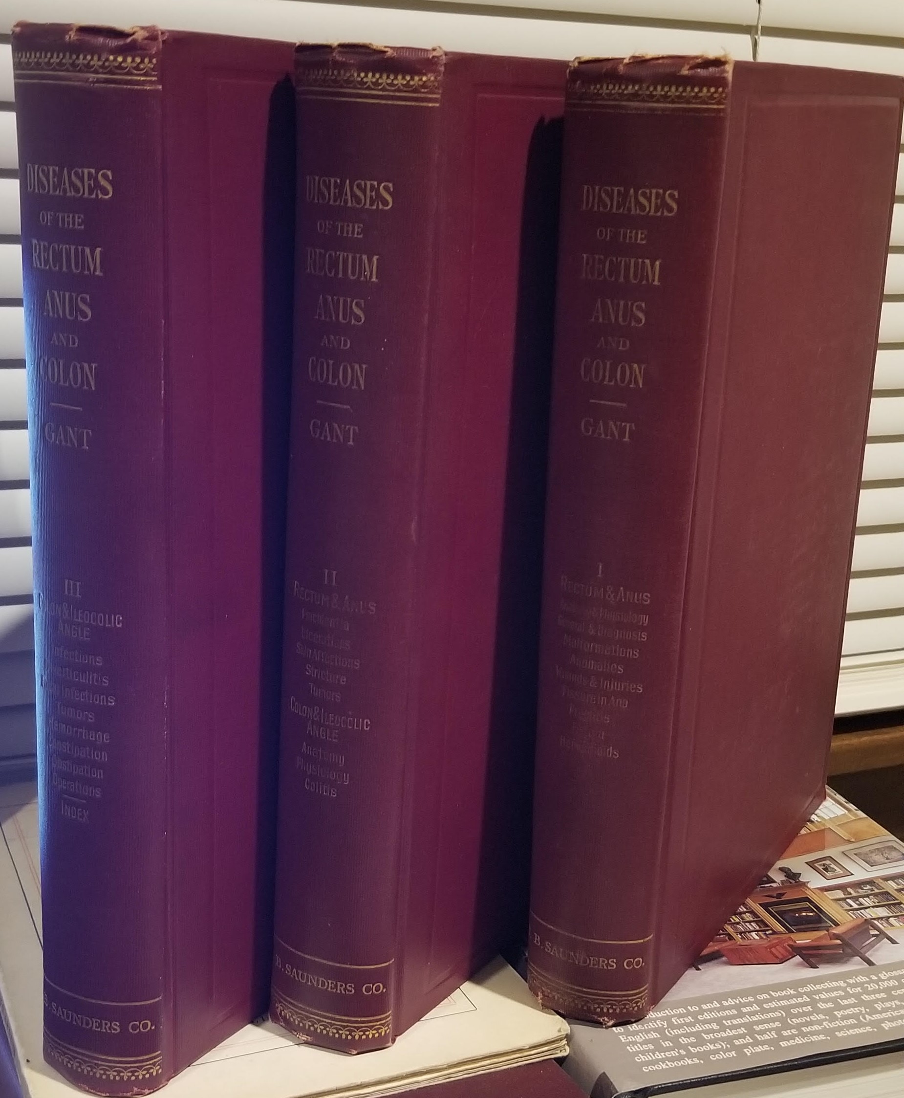 Image for Diseases of the Rectum, Anus, and Colon 3 Volumes